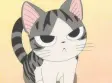 Libuki