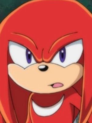 Knuckles the Echidna