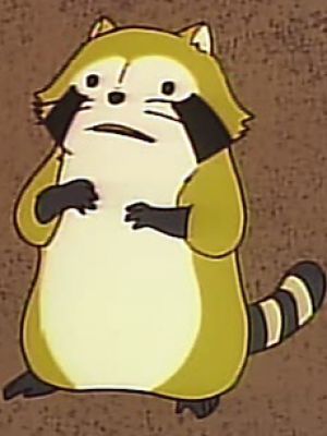 Araiguma Rascal (Sekai Meisaku Gekijou) - 1977 - 52 Episodes