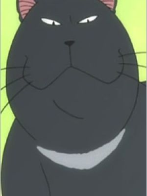 Kuroino