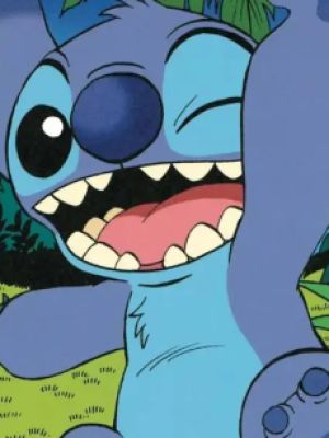 Stitch