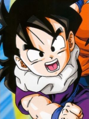 Gohan Son