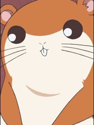 Chikubi