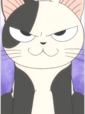 Kocchi