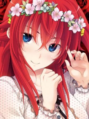 Rias Gremory