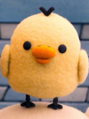 Kiiroitori