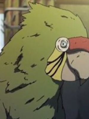 Kotoaka