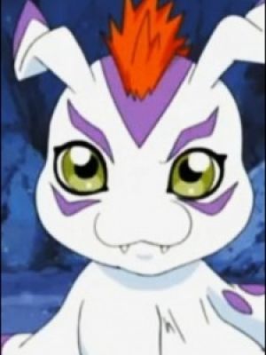 Gomamon