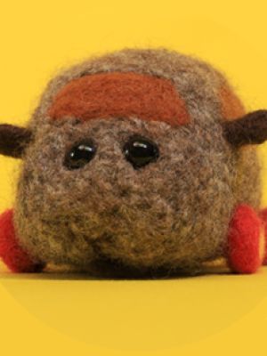 Teddy