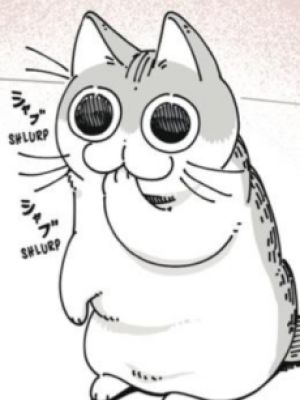 Kyuruga