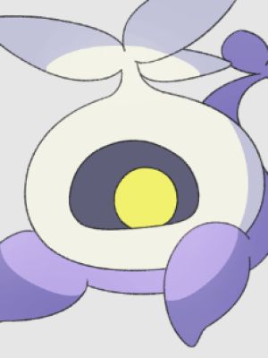 Pelapie
