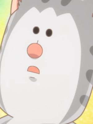 Tabi