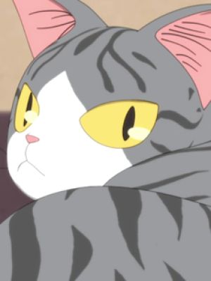 Komugi