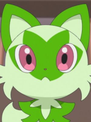 Nyahoja