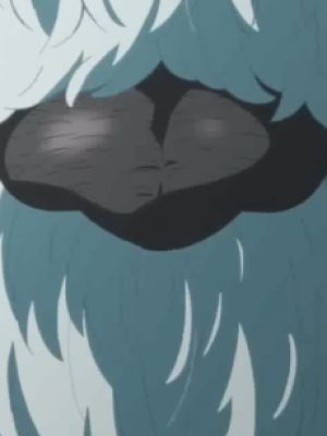Yeti