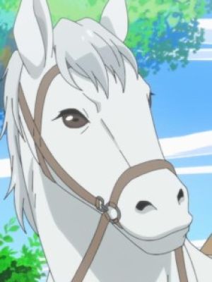 Ed
