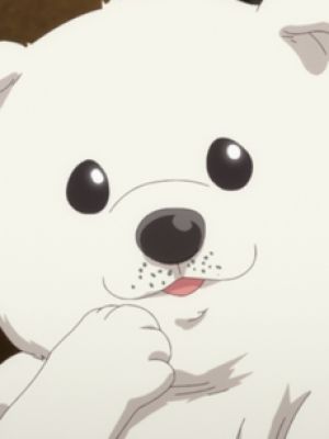 Kyui