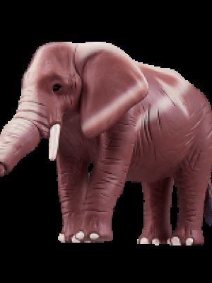 Elephe