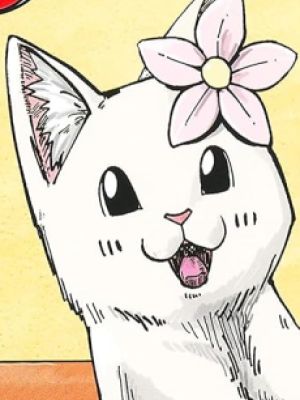 Hana