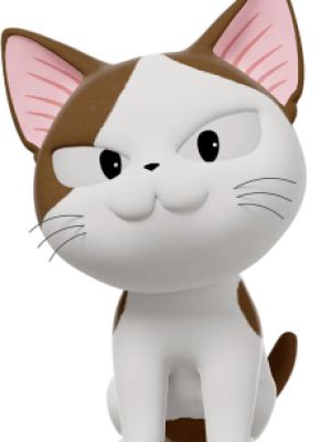 Tida
