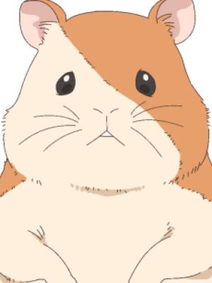 Hamcha Starham