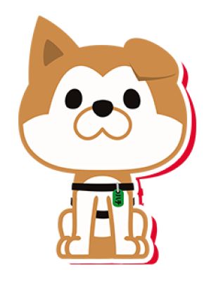 Hachi