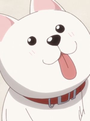 Inu