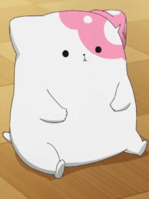 Kinokoinu