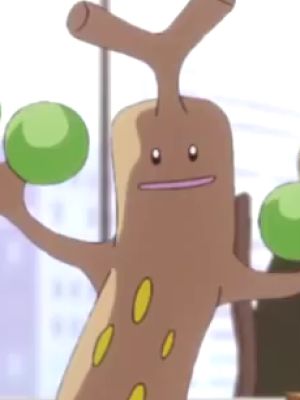 Usokkie