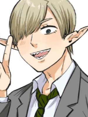 Hiratsuka no Elf