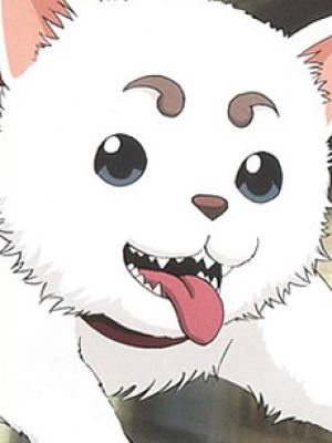 Sadaharu