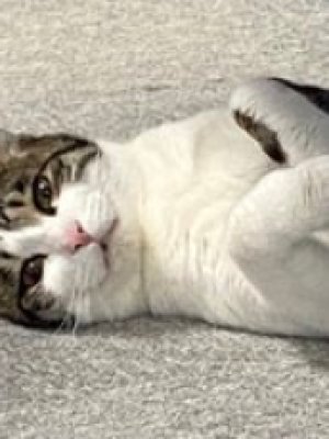 Eiki Etou