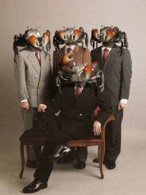 Crab Kani Club