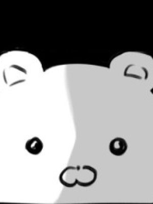 Danbi