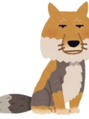 Gingitsune Ezo