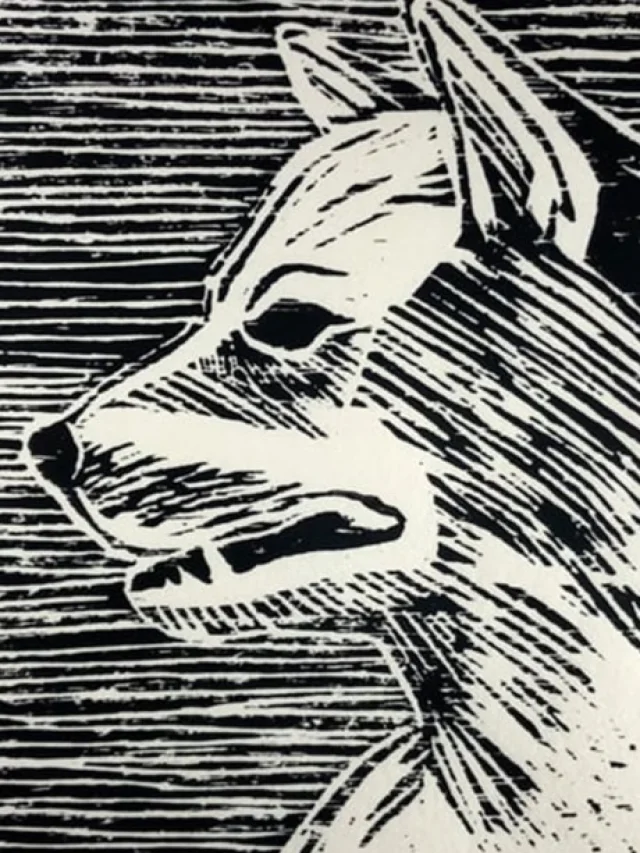 A DOG