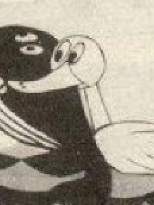 Ki no Ii Ahiru