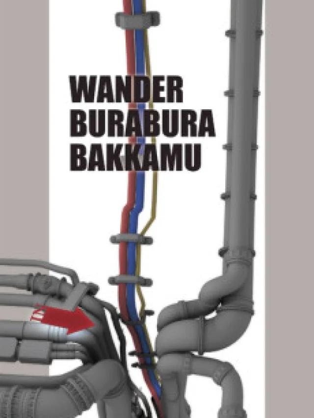 WANDER BURABURA BAKKAMU