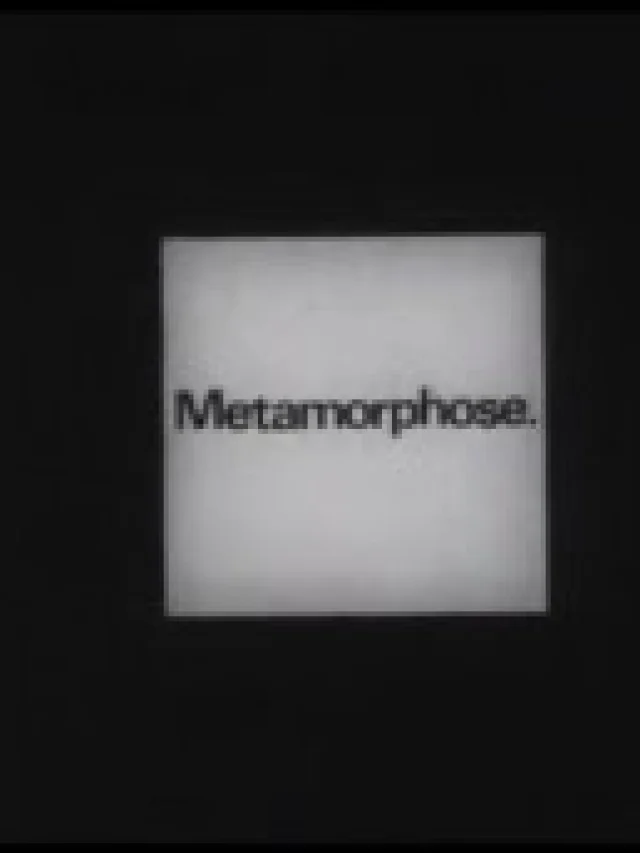 Metamorphose.