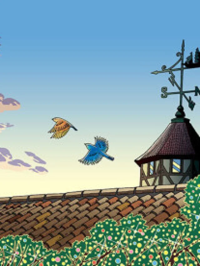 Heart Cocktail Colorful: Fuyu-hen