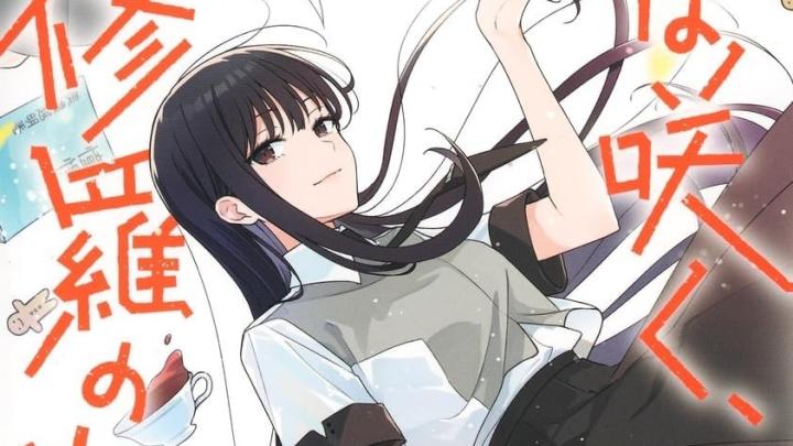Hana wa Saku, Shura no Gotoku Manga Ends in Ultra Jump This August